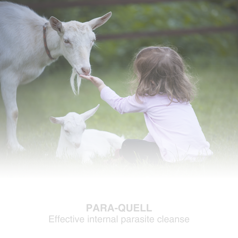 Para-Quell | Canada