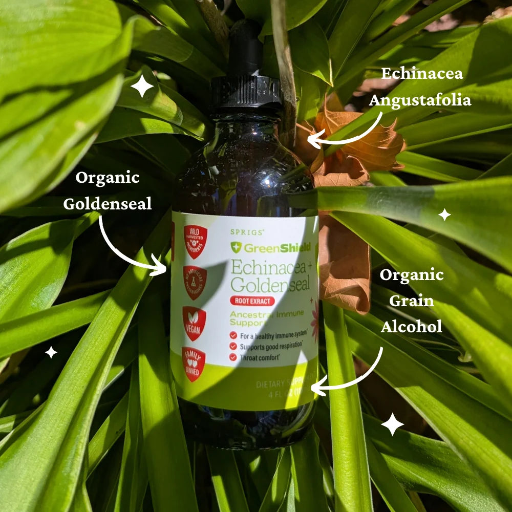 Echinacea & Goldenseal Root Extract