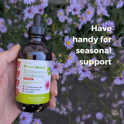 Echinacea & Goldenseal Root Extract