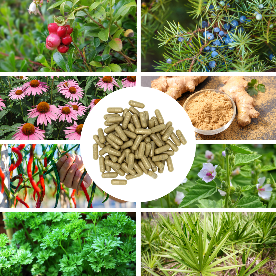 Prostate Top Capsules