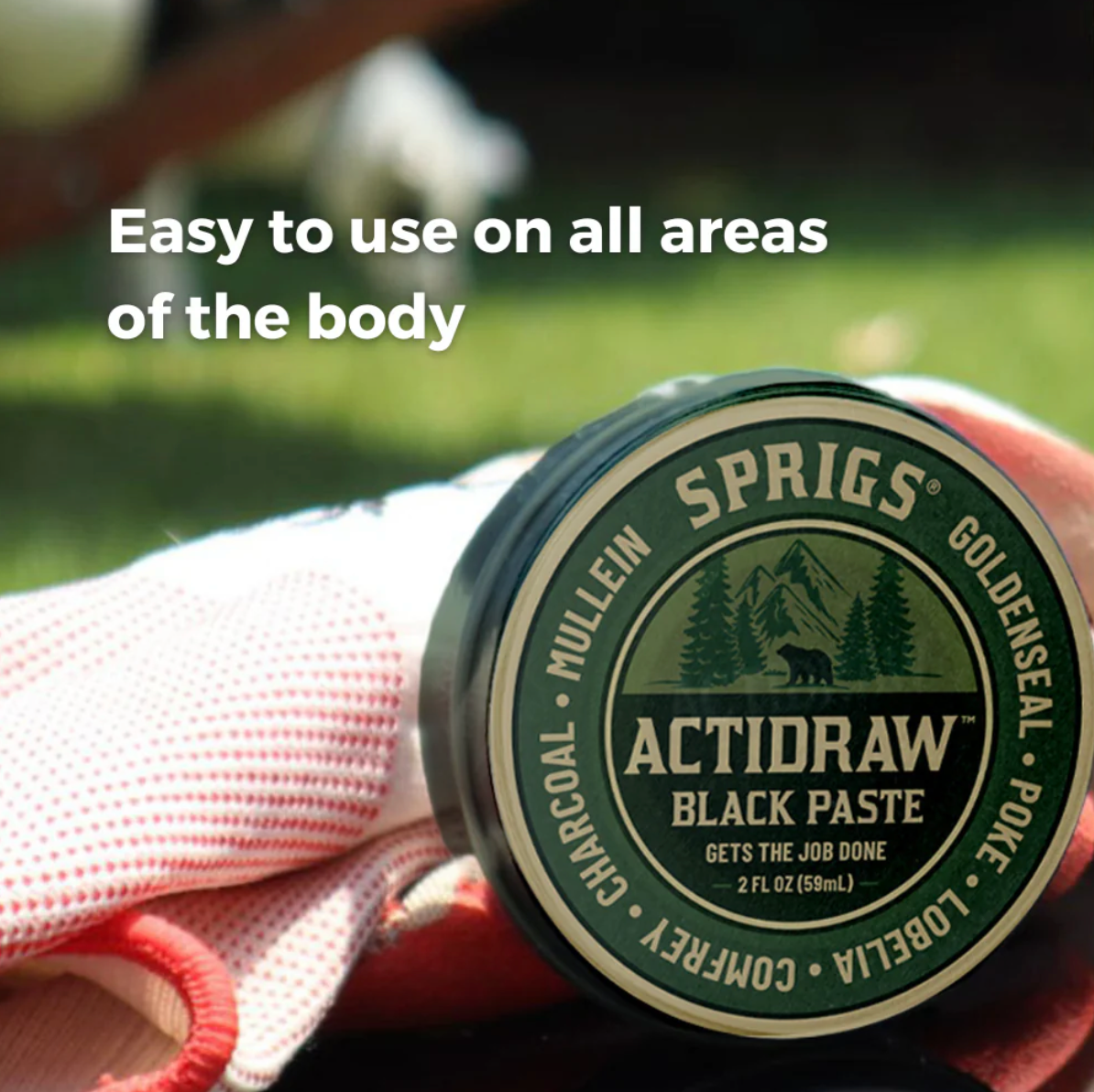 Actidraw Charcoal Herbal Salve 2 fl. oz. (59 ml)