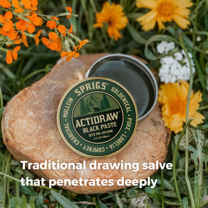 Actidraw Charcoal Herbal Salve 2 fl. oz. (59 ml)